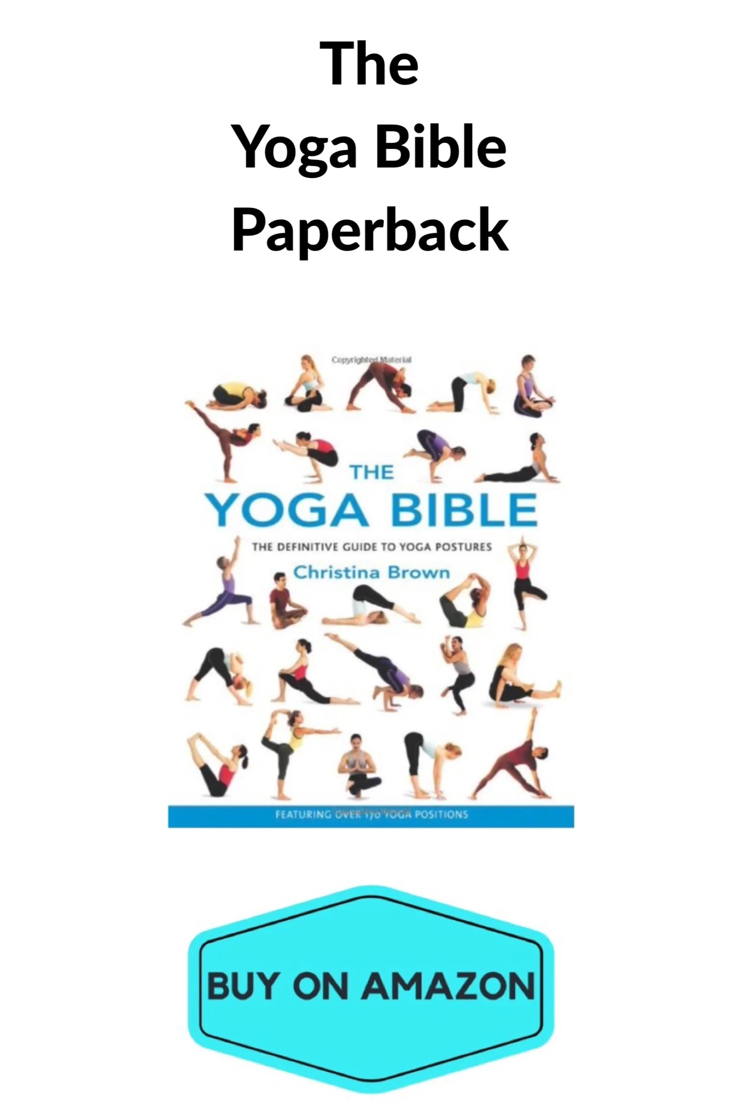 The Yoga Bible Paperback
