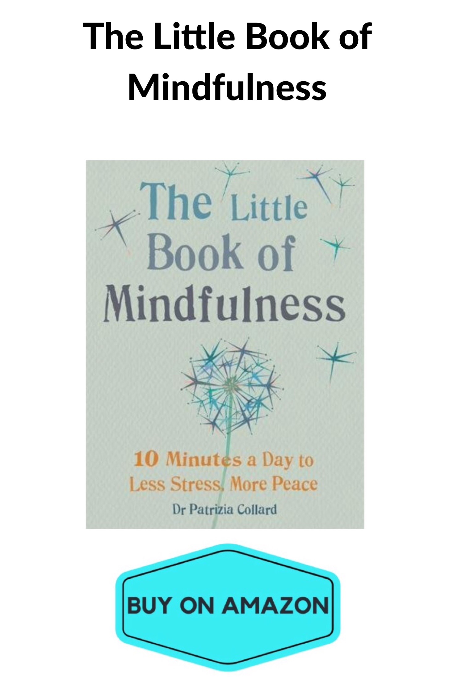 The Little Book of Mindfulness