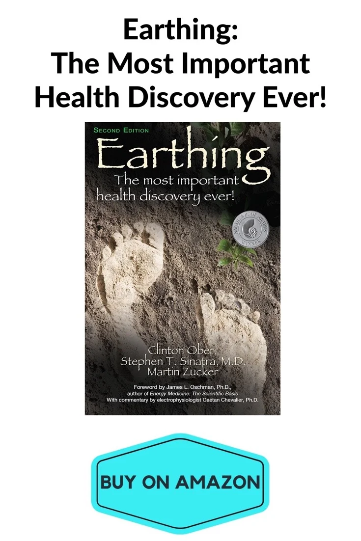 Earthing Paperback