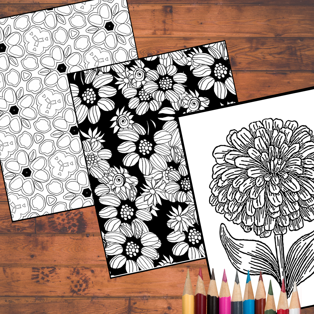 Patterns2 shop pics.png
