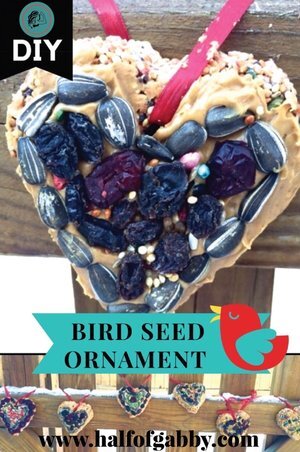 How To Make Bird Seed Ornaments Kid Craft