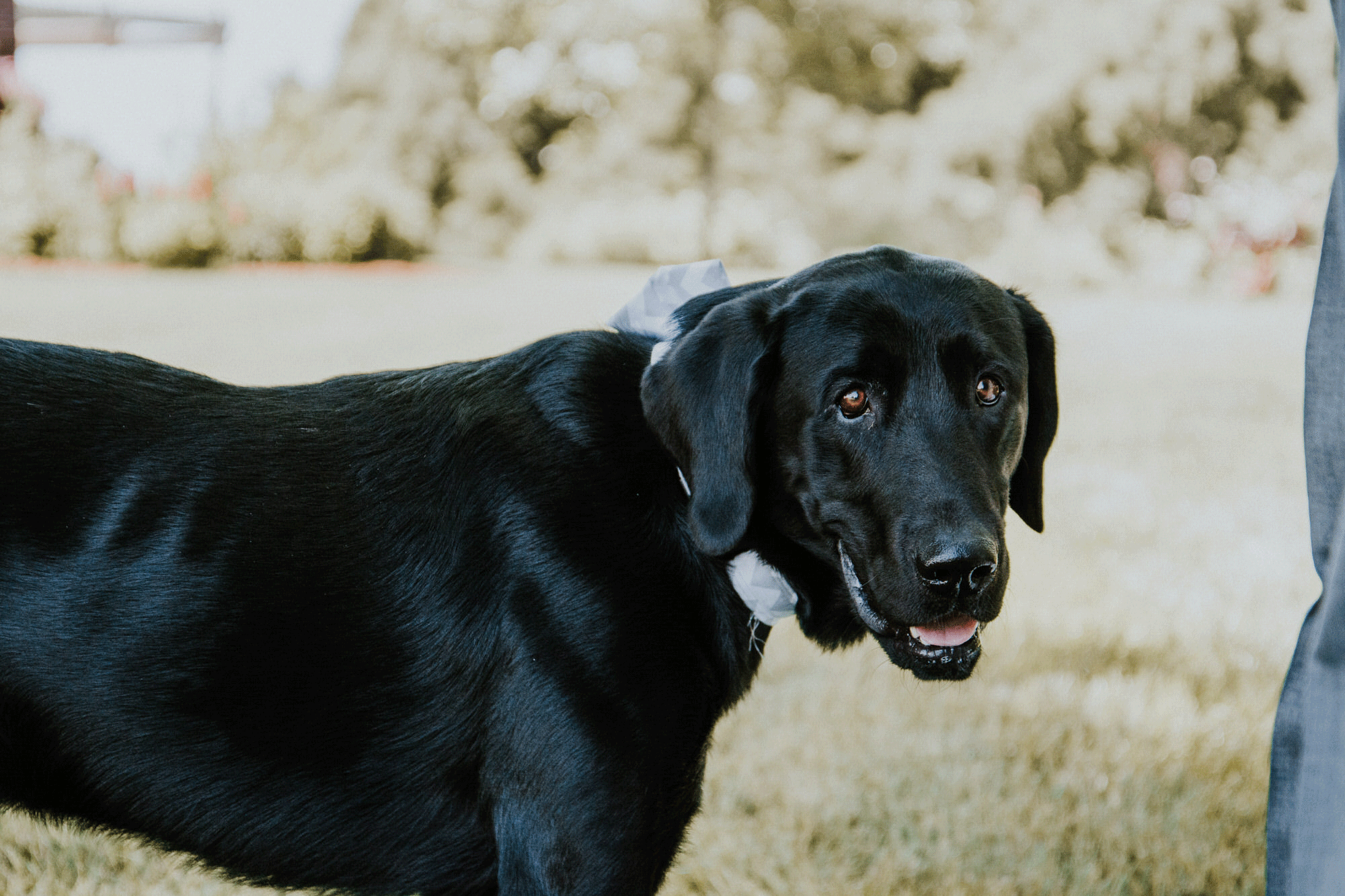 Kaylie Sirek Photography 29.png