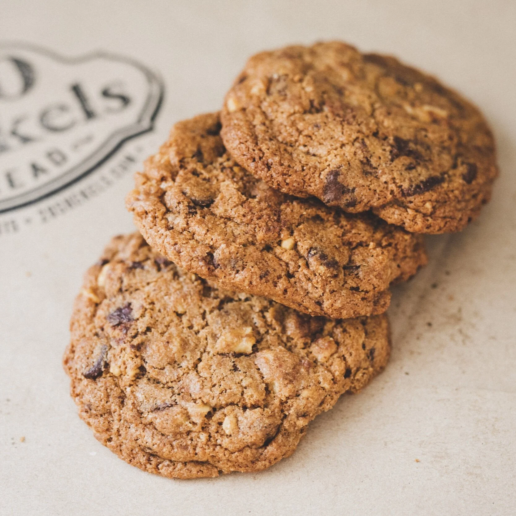 chocolate%2Bchip%2Bwalnut-3.jpg