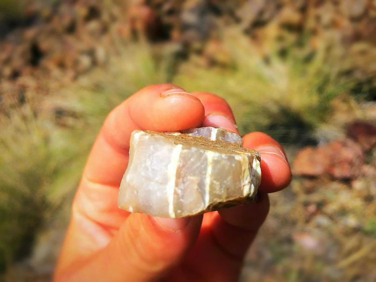 geologyrocksphoto.jpg