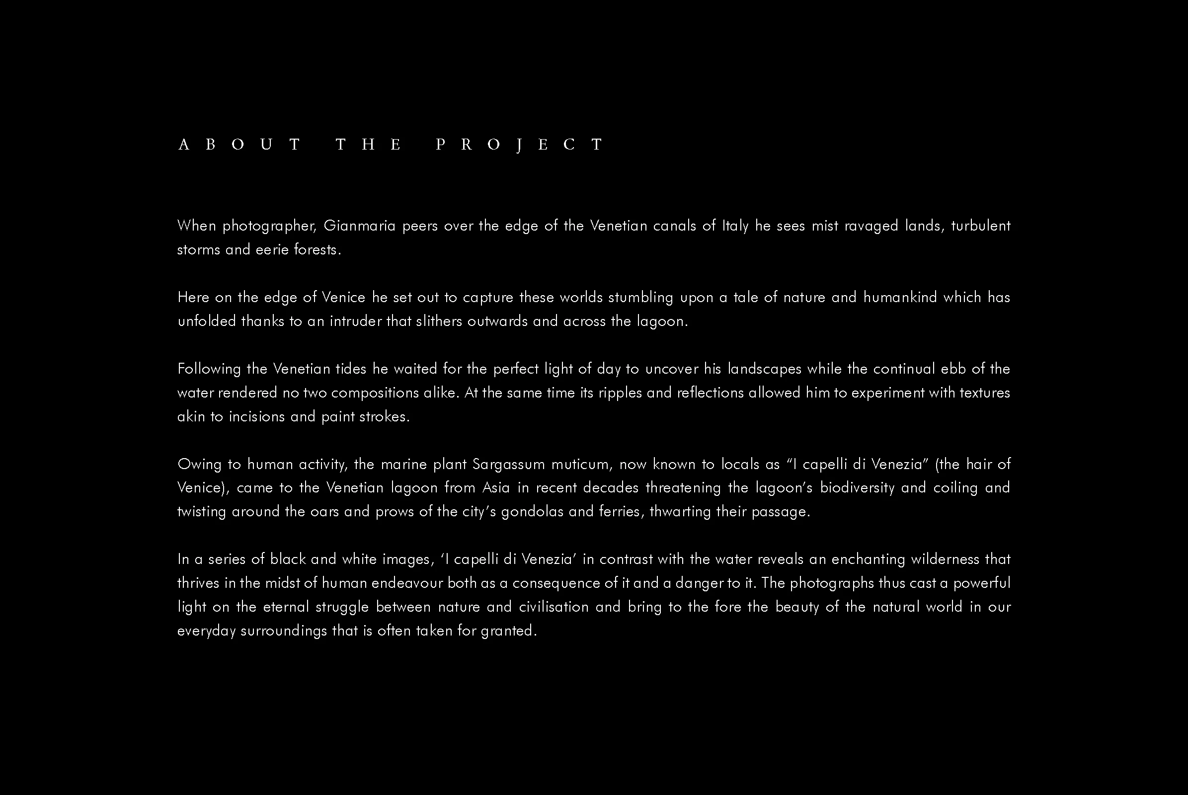 I capelli di Venezia_Text website 3.jpg