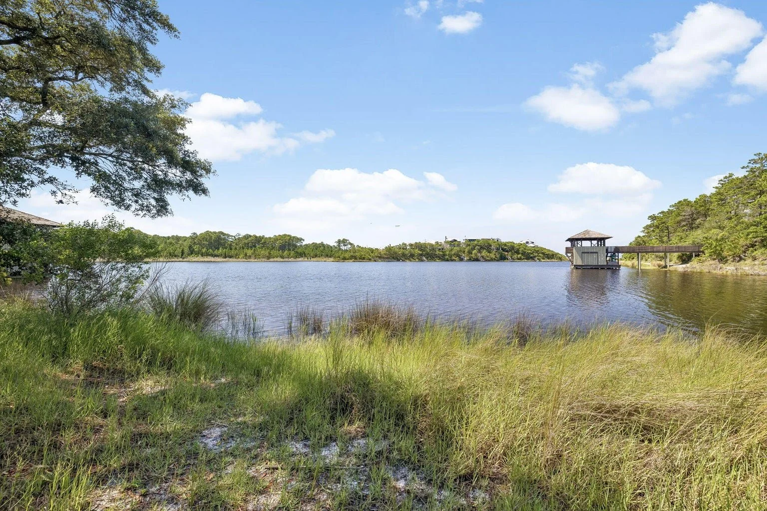 Draper-Lake-Village-Lot-13-3-Dewberry-Lane-39.jpg