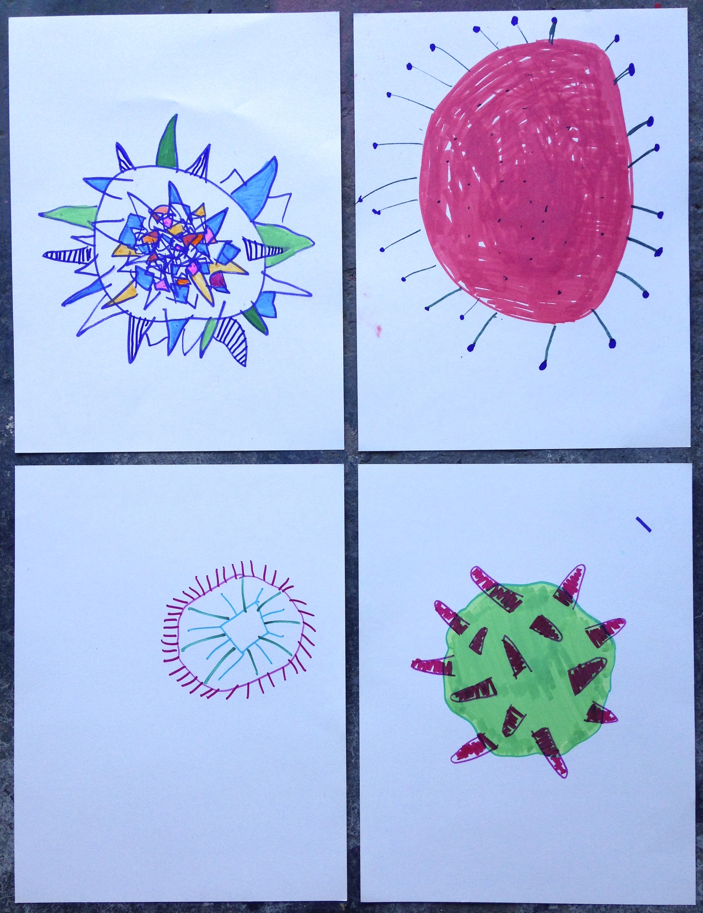 Pollen grain drawings made by visitors to farmers market