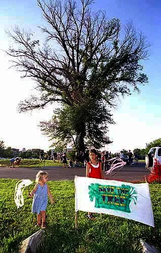  "Save the Tree" at 8th & Rhode Island, 2003