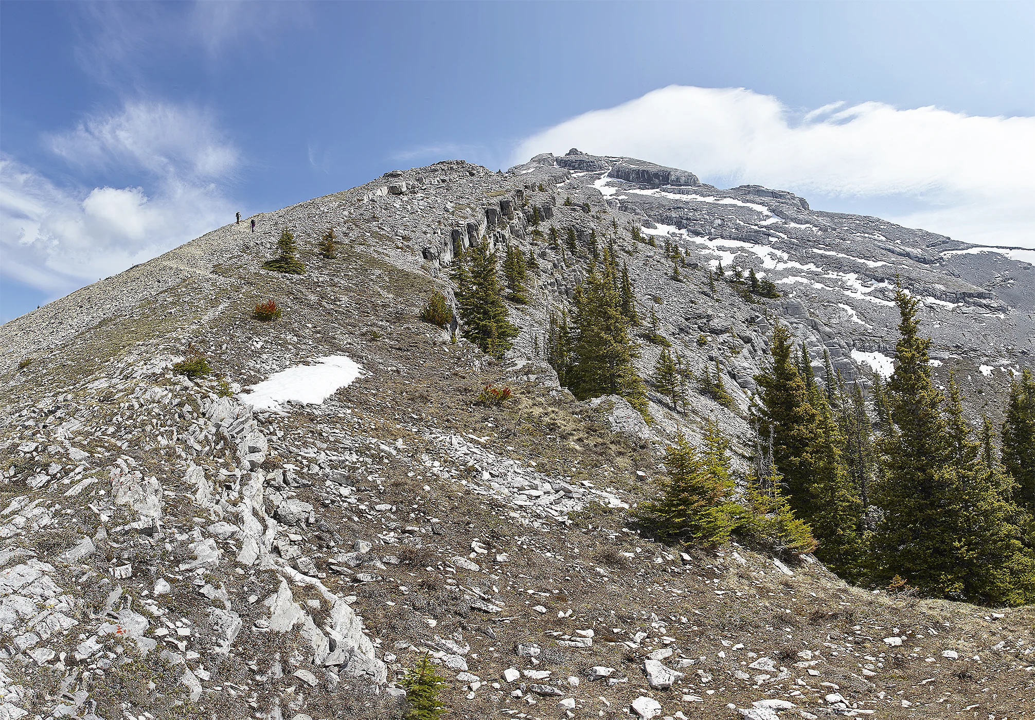 The ridge as seen from near the tree line.
