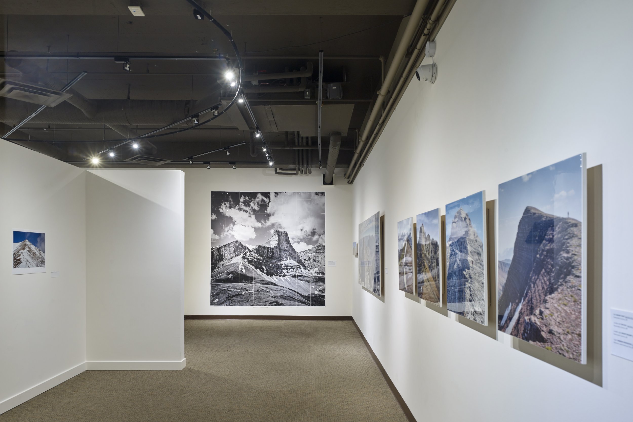   The Fortress , 2022. A 96” x 96” composite made up of 48 archival matte prints, assembled with magnets. 