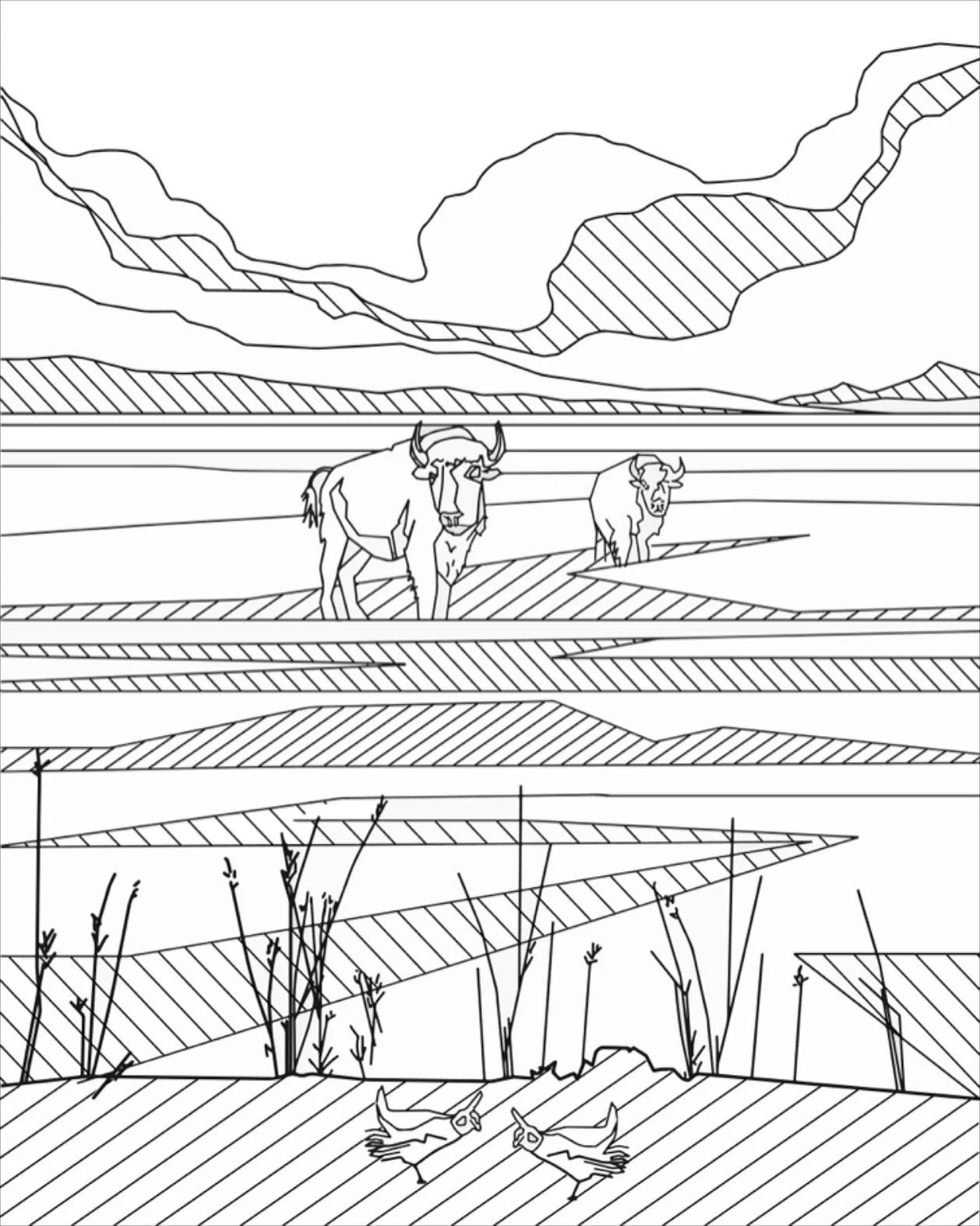 Southern High Plains.JPG