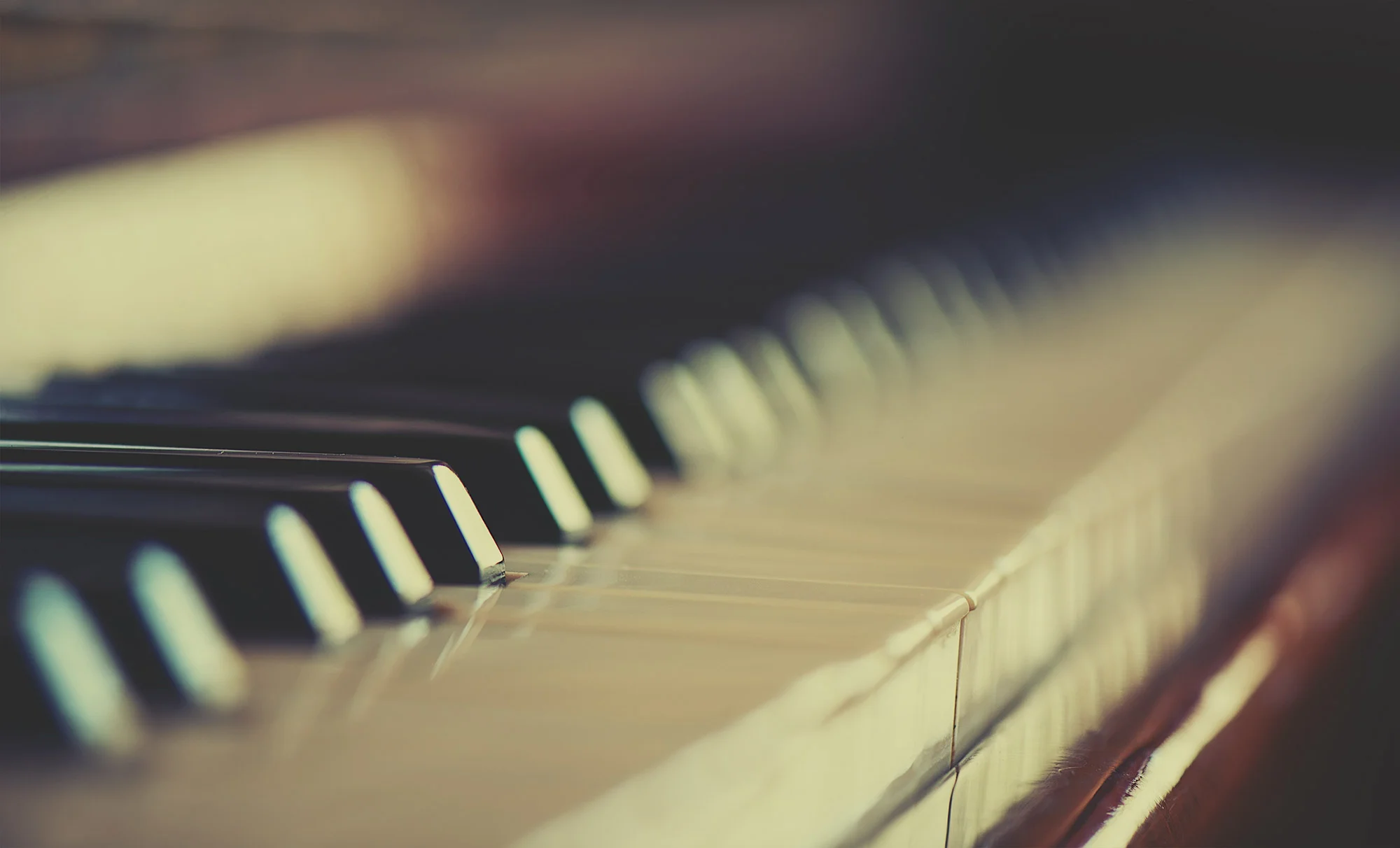 Banner3.jpg