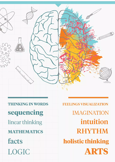 https://www.healthline.com/health/left-brain-vs-right-brain#left-brainright-brain-theory