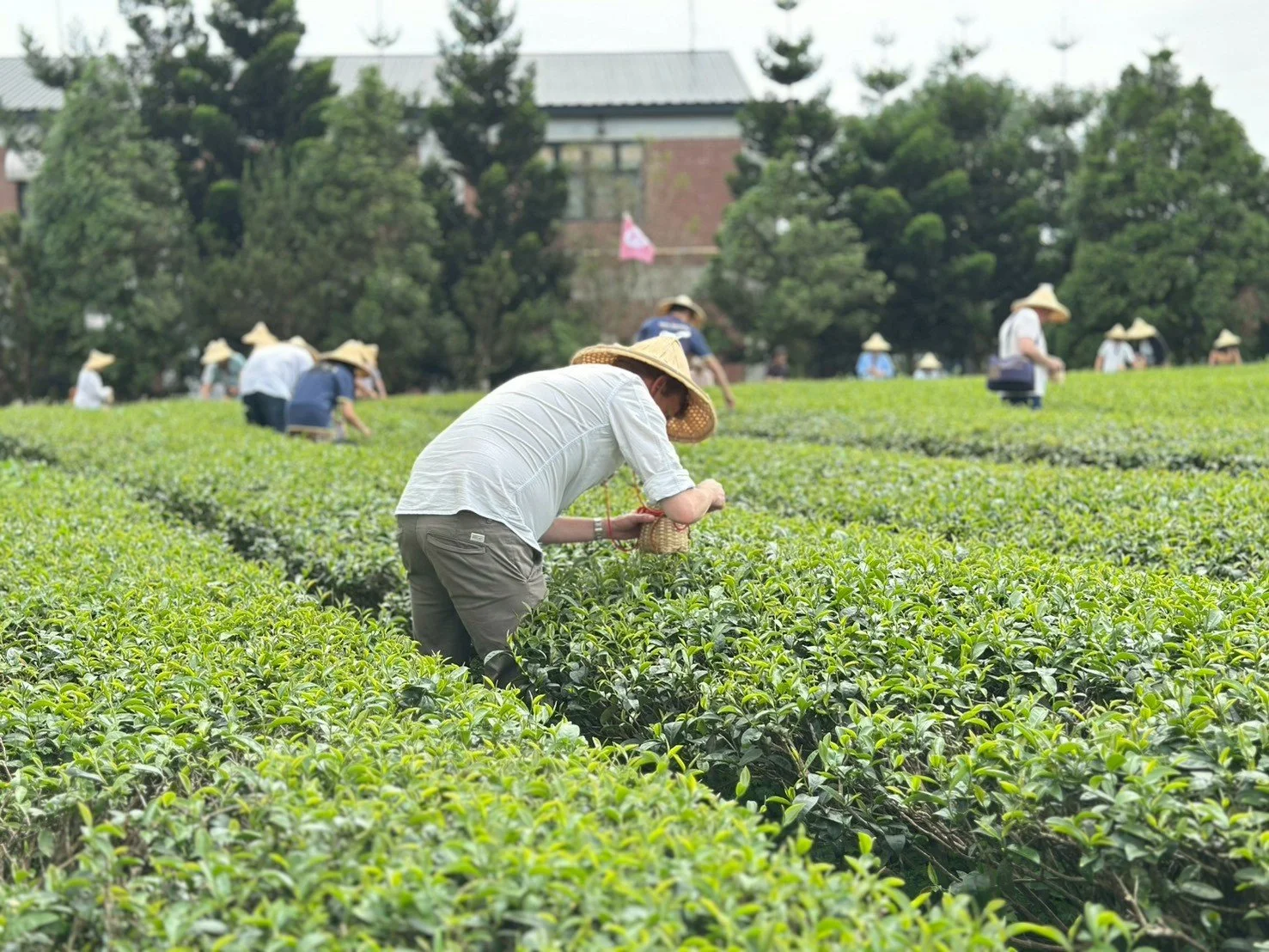 LINE_ALBUM_2026521 客家茶文化館參訪_260525_2.jpg