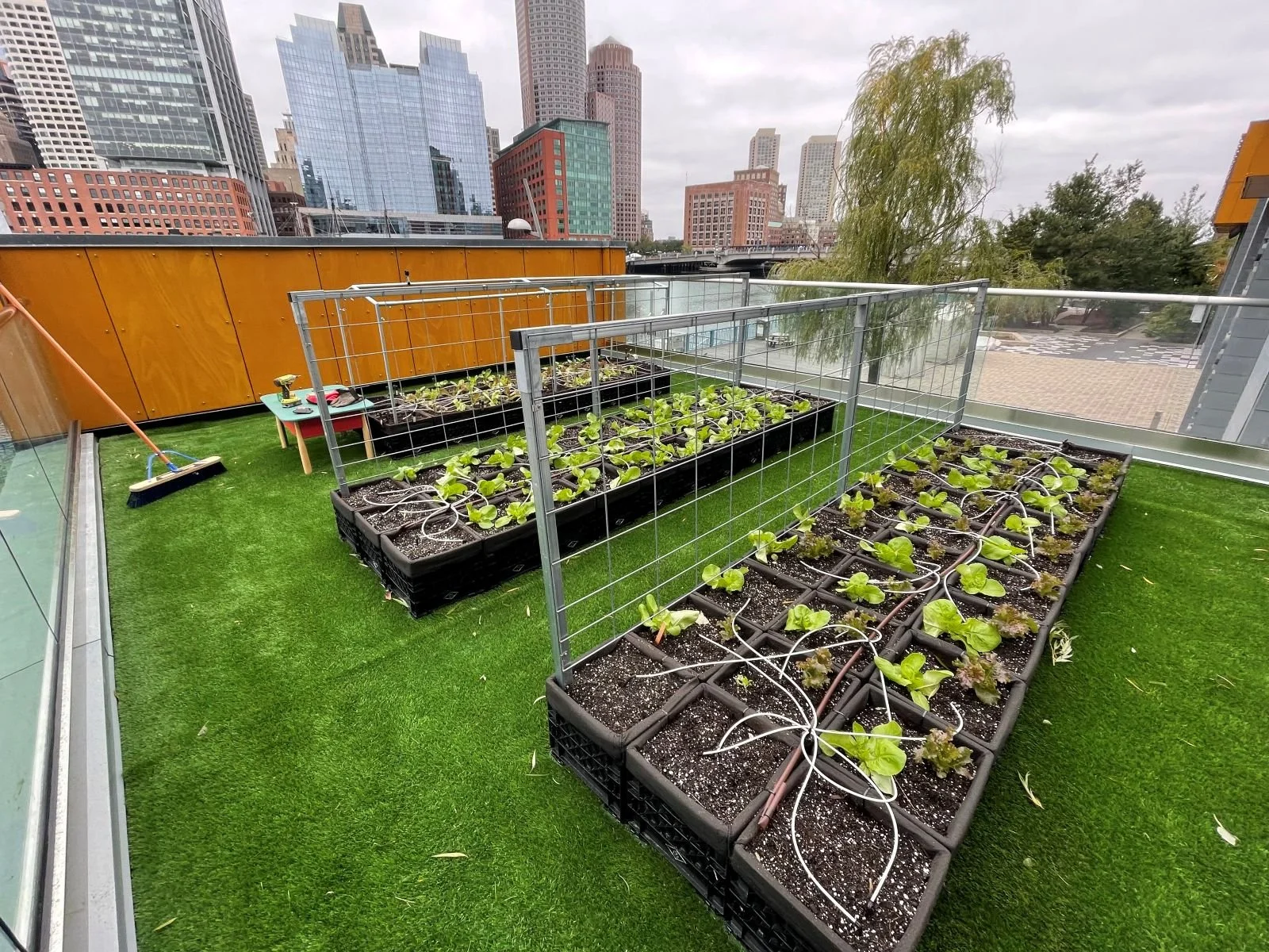 IMG_2142 - reduced.JPG