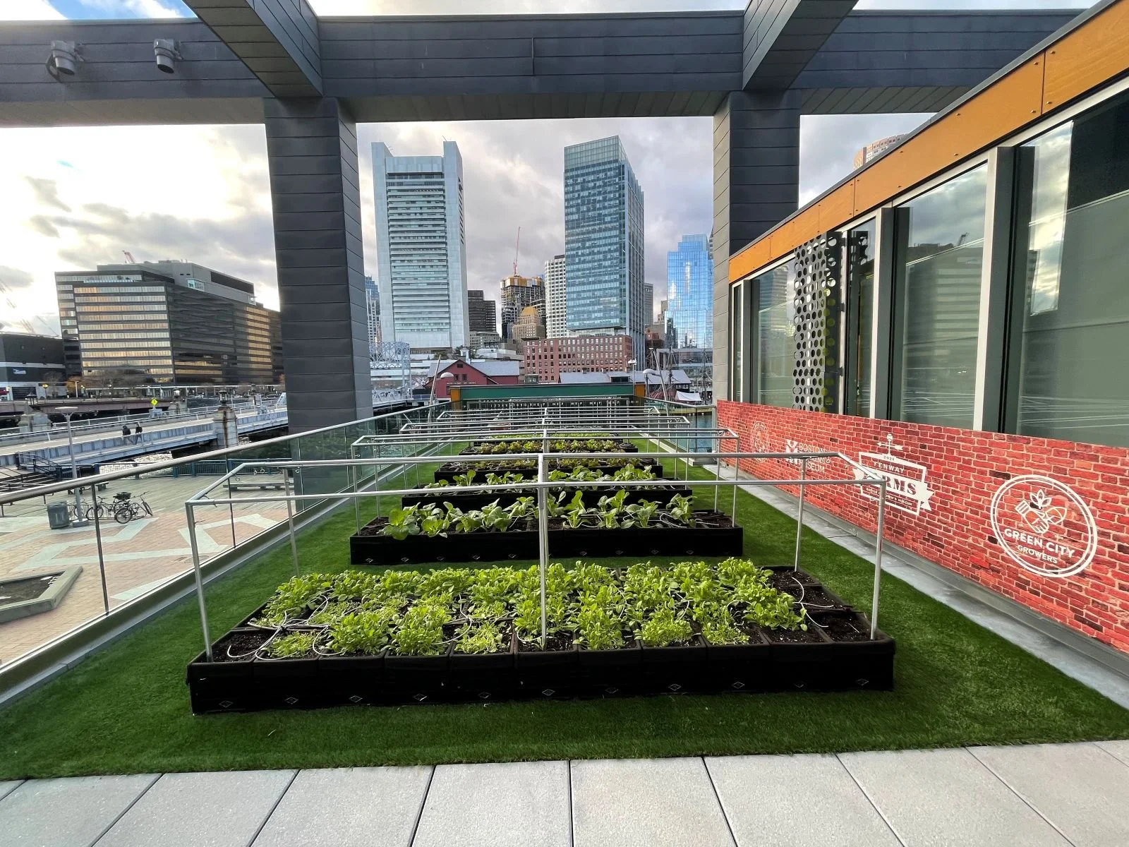 IMG_2368 - reduced.JPG