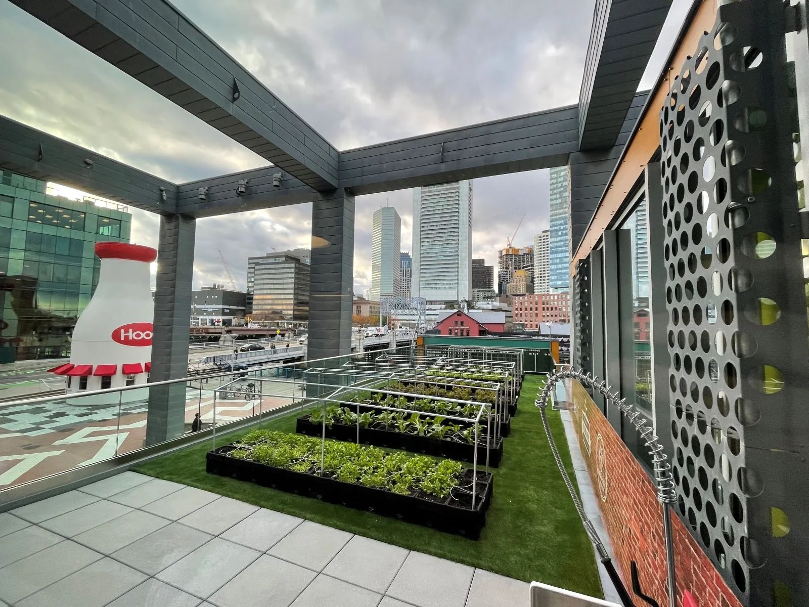 IMG_2371 - reduced.JPG