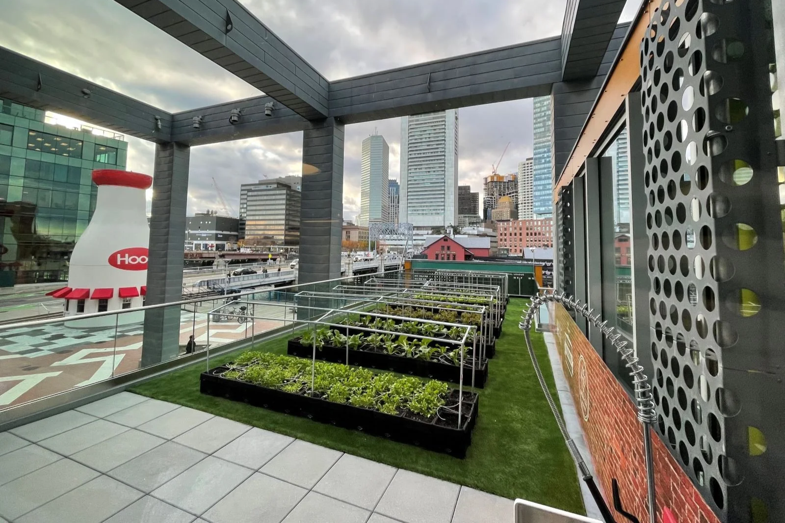 BCM Green Roof