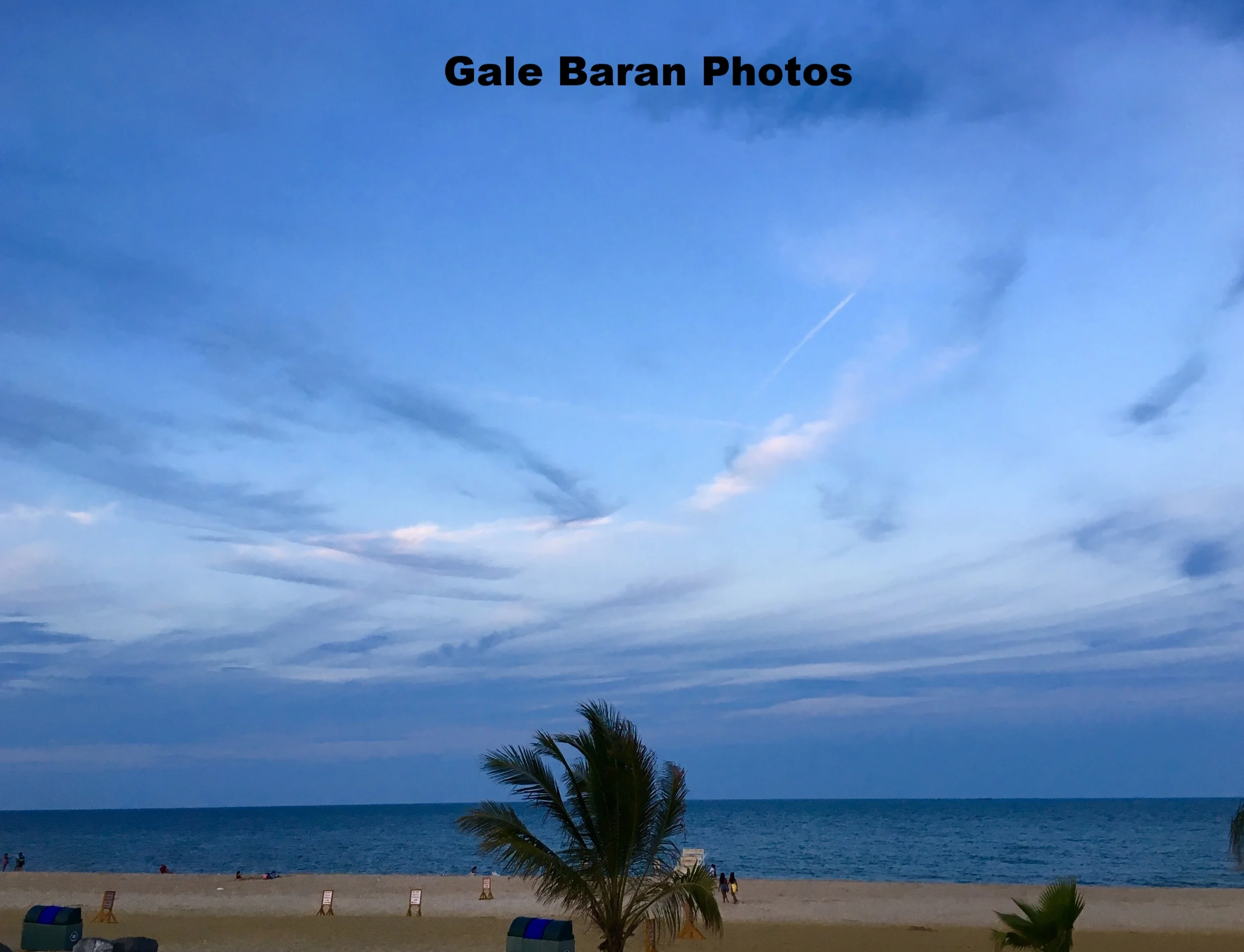 IMG_8475.jpg