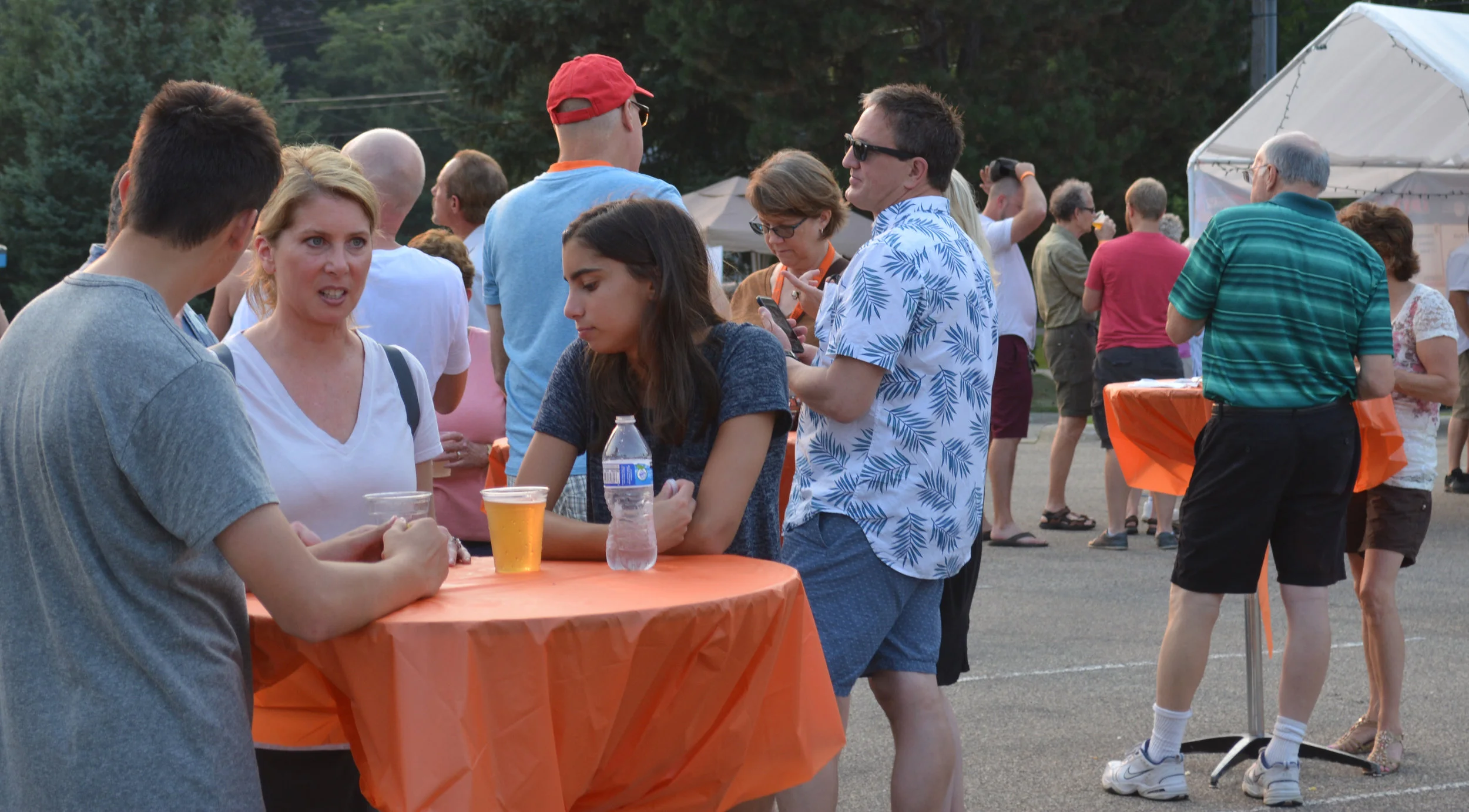 DSC_0356 crop.jpg
