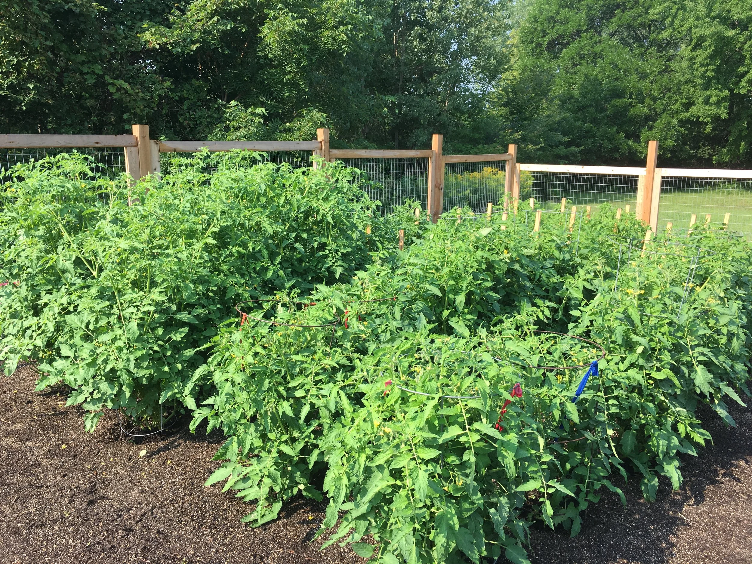 COMMUNITY GARDEN PLANNING MEETING