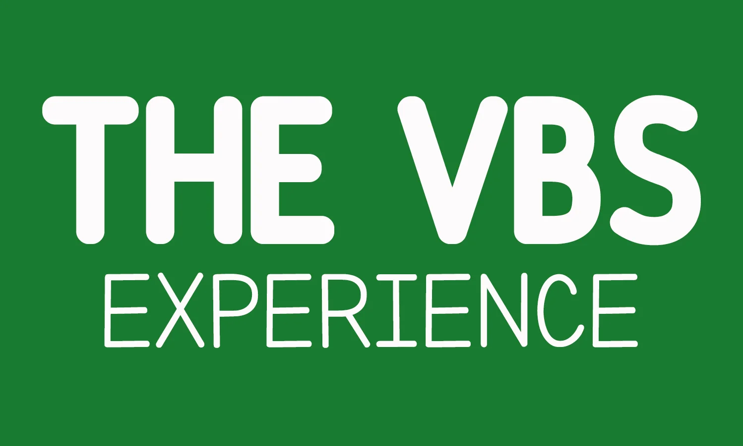 VBS EXPERIENCE.jpg