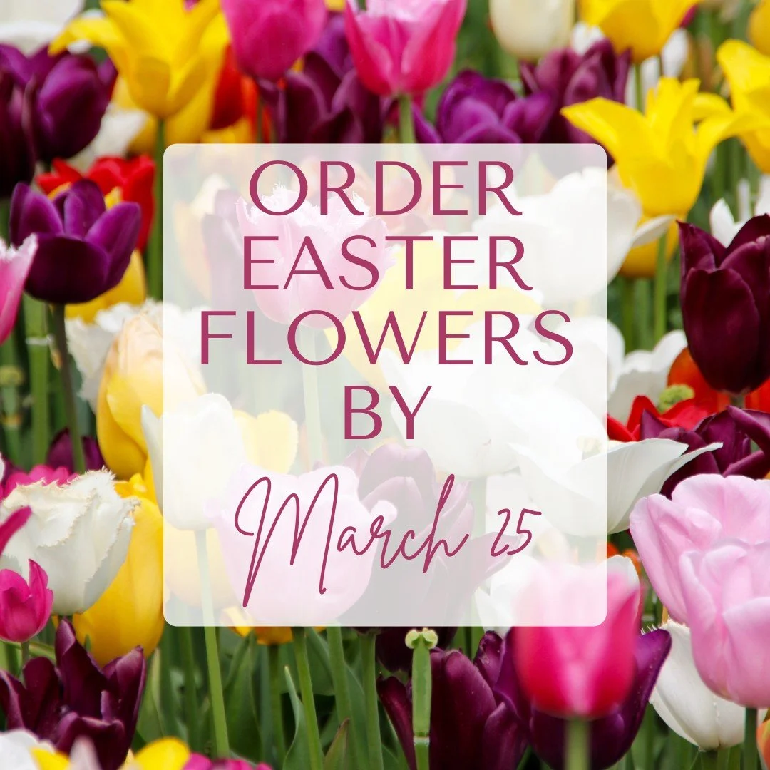 There are only a few days left to order Easter Flowers! Go to moply.org &amp; get yours today!