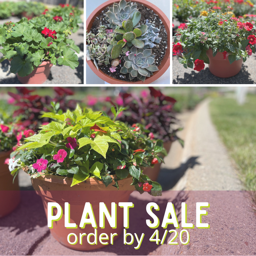Youth Plant Sale Order by 4/20