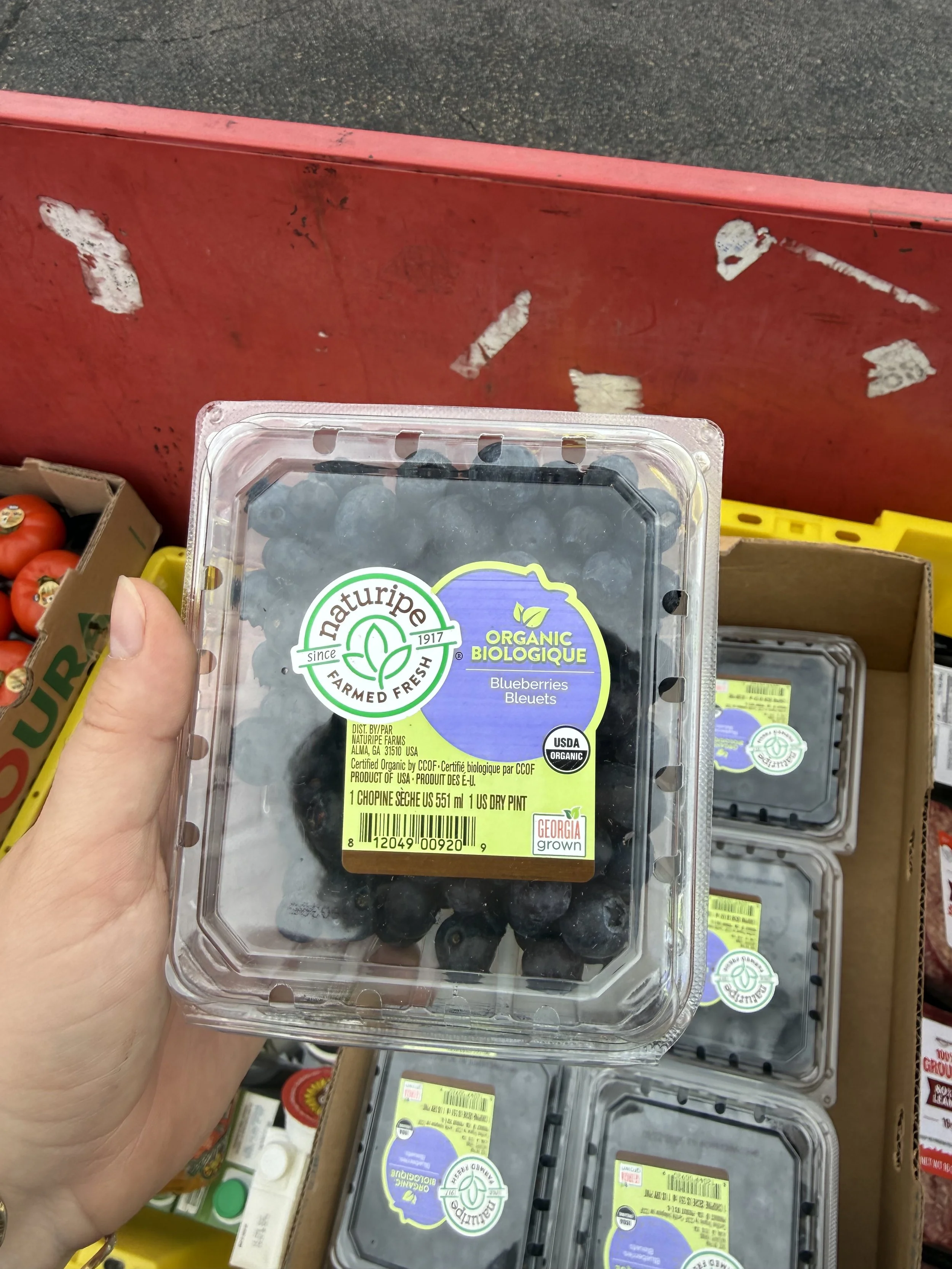 LF Blueberries.jpeg