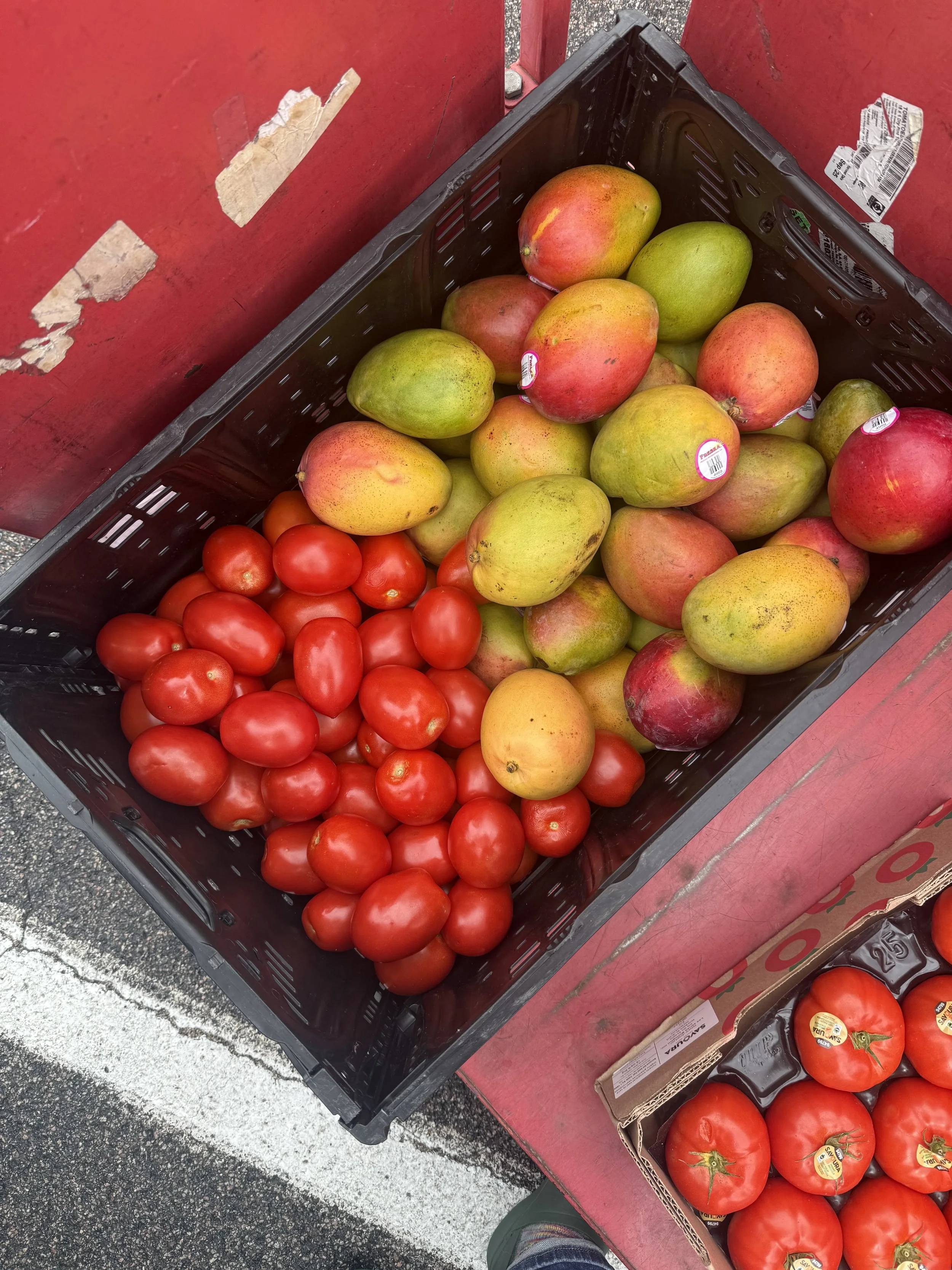 LF Mango and Tomatoes.jpeg