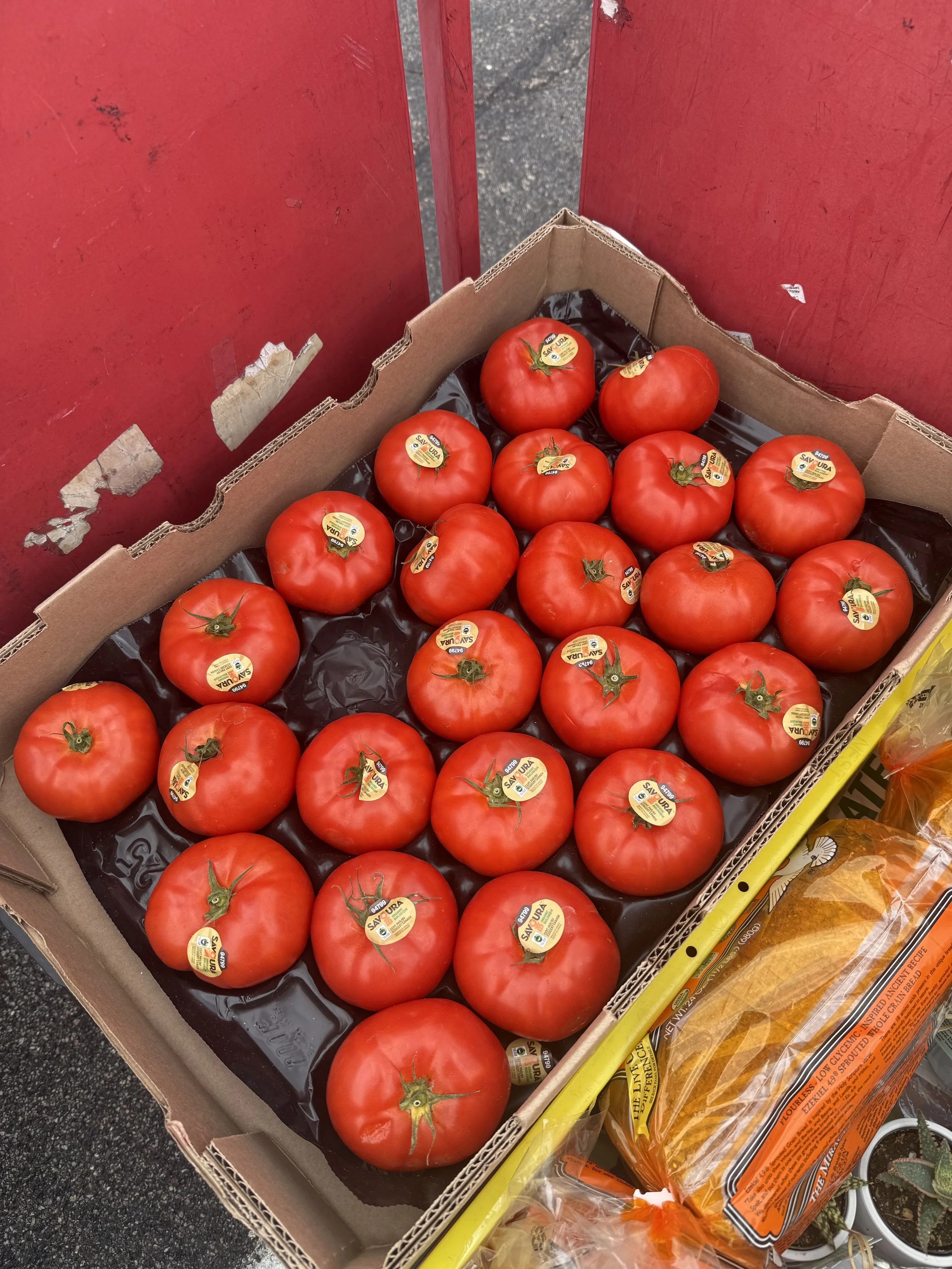 LF tomatoes.jpeg