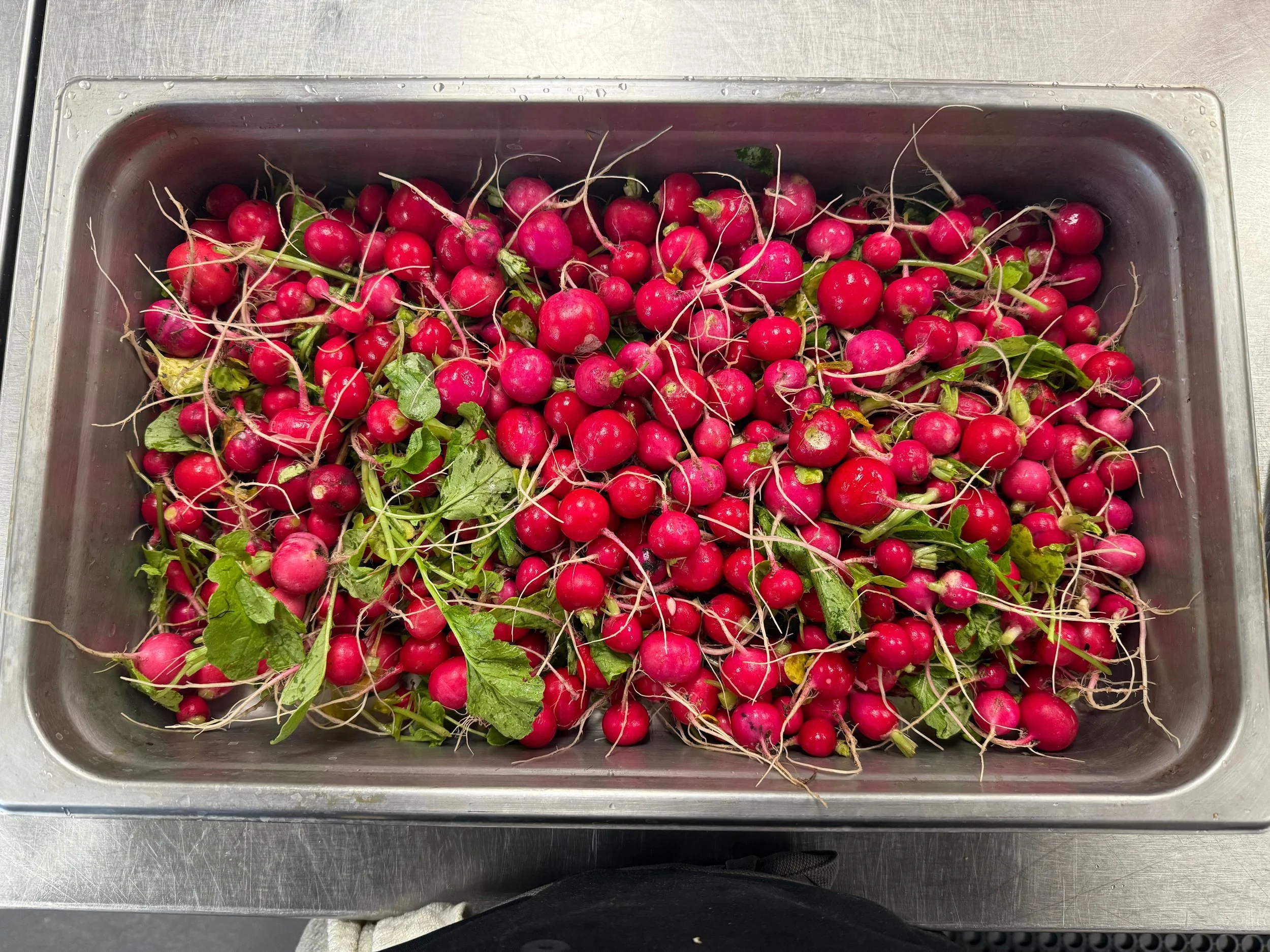 Radish pan.jpeg