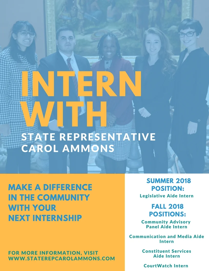2018 Internship flyer (1).jpg