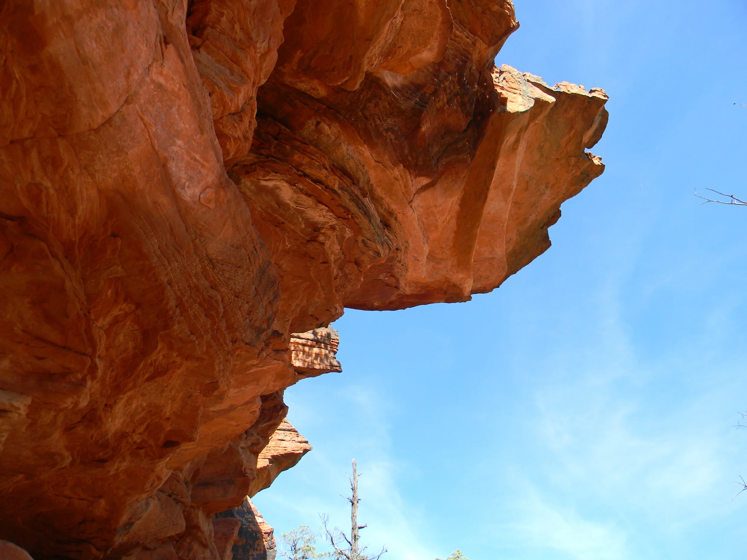 DSCN1247.JPG