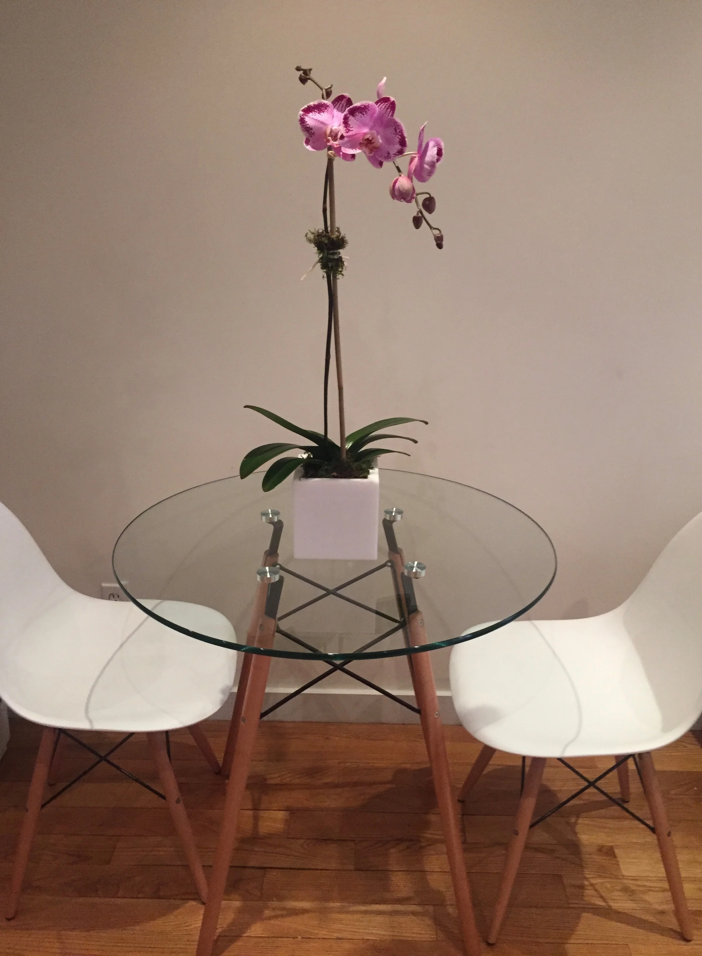 NEW! Orchid White Lucite Box