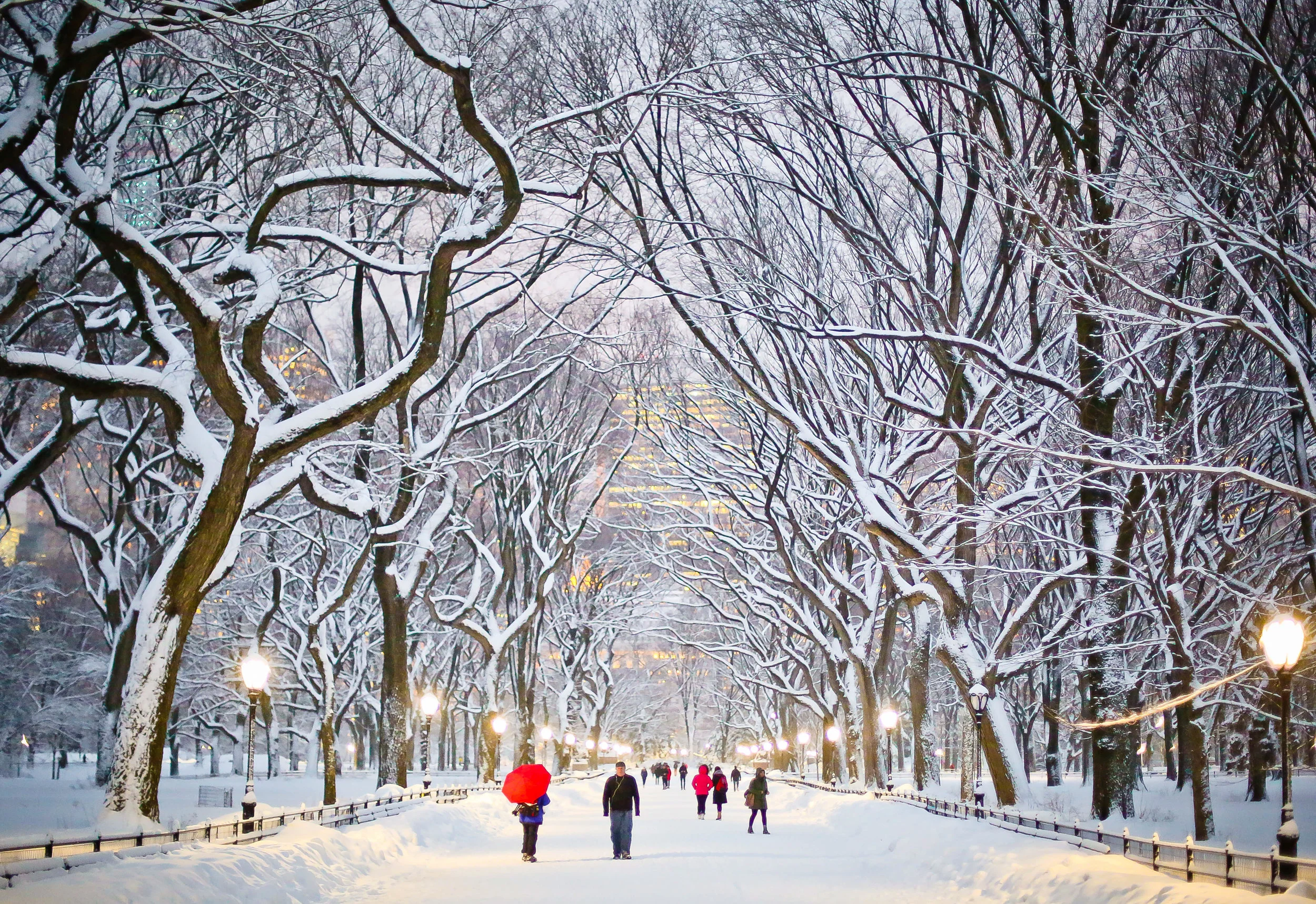 New York, NY 2015