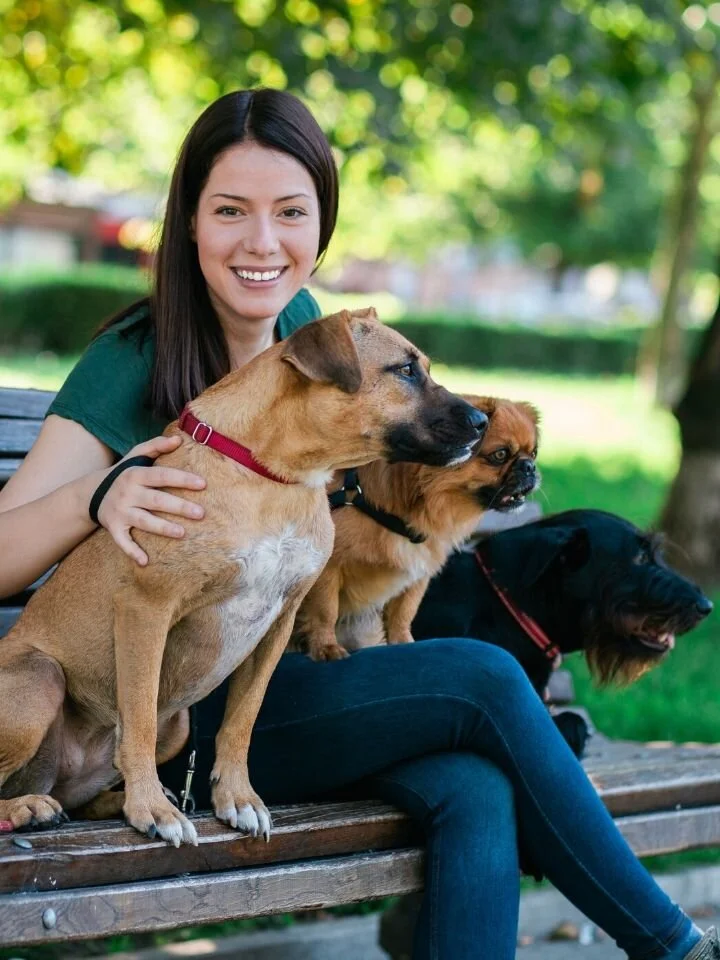 What to Look for in a Top-Notch Pet Sitter