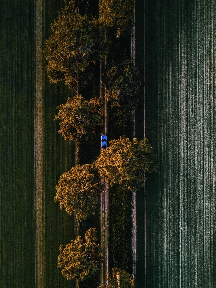 BMW+Hungary,+3+Limousine (2).jpeg