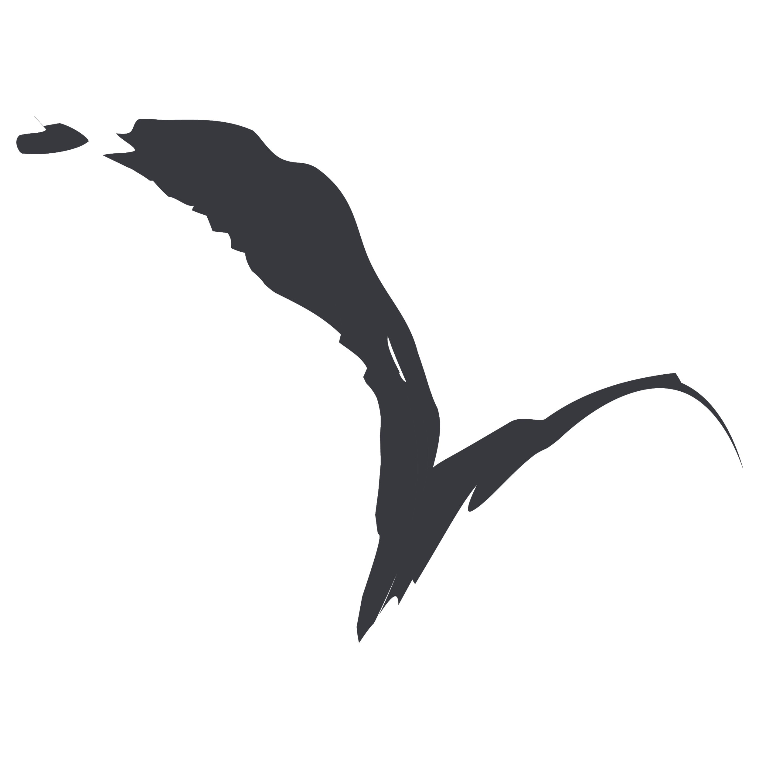 Bird Crop.png