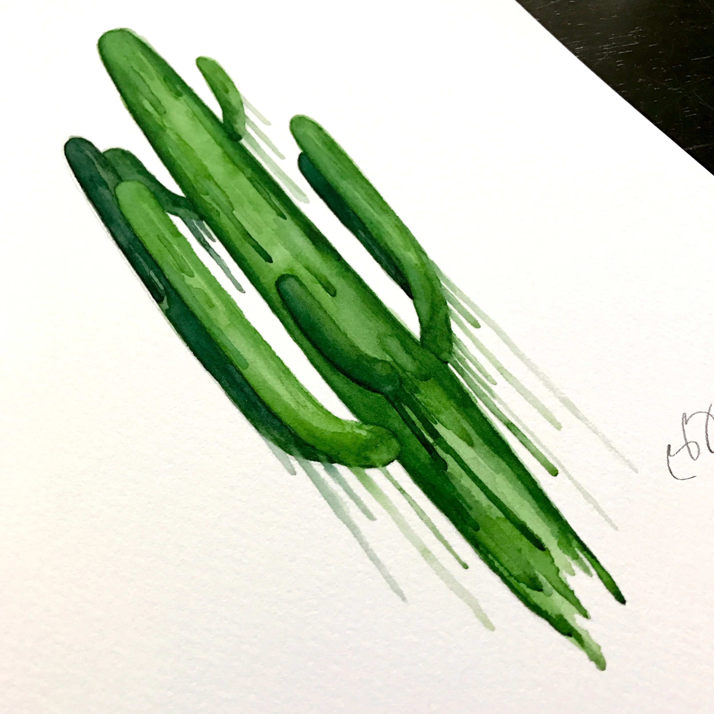 Drippy Green Cactus Original Watercolor