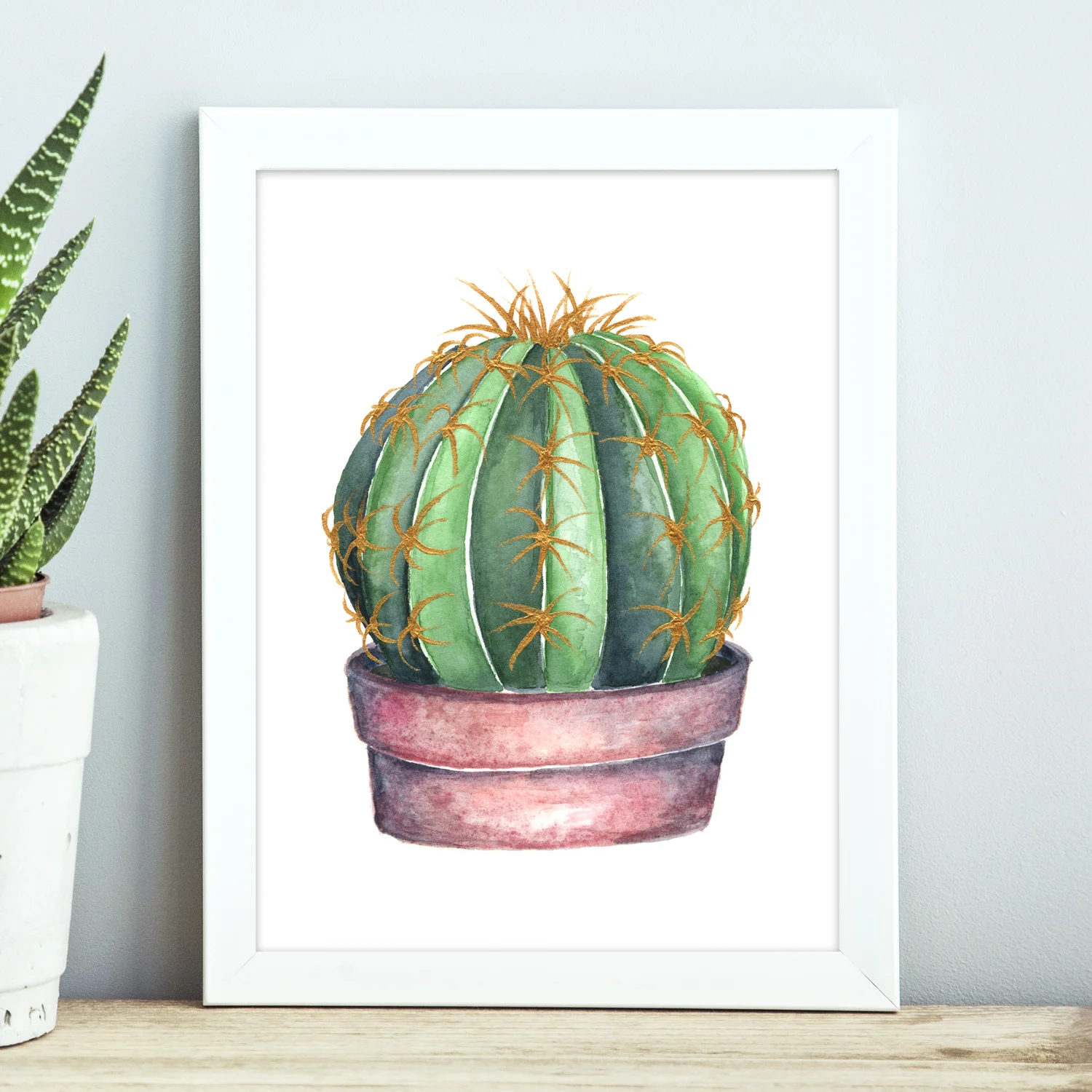Potted Gold Pricked Barrel Cactus | Art Print #035 | Boelter Design Co.