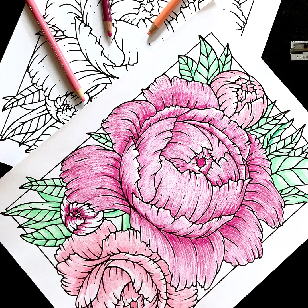 Free Downloadable Coloring Page of Illustrated Peonies