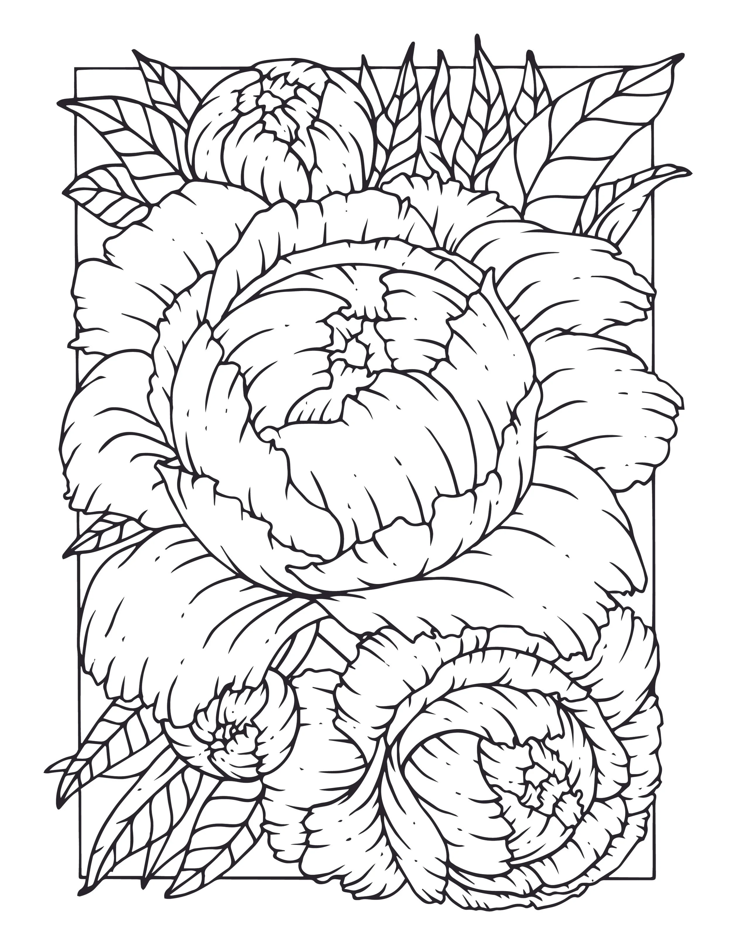 17-8-10-Peonies-Coloring-Page.jpg