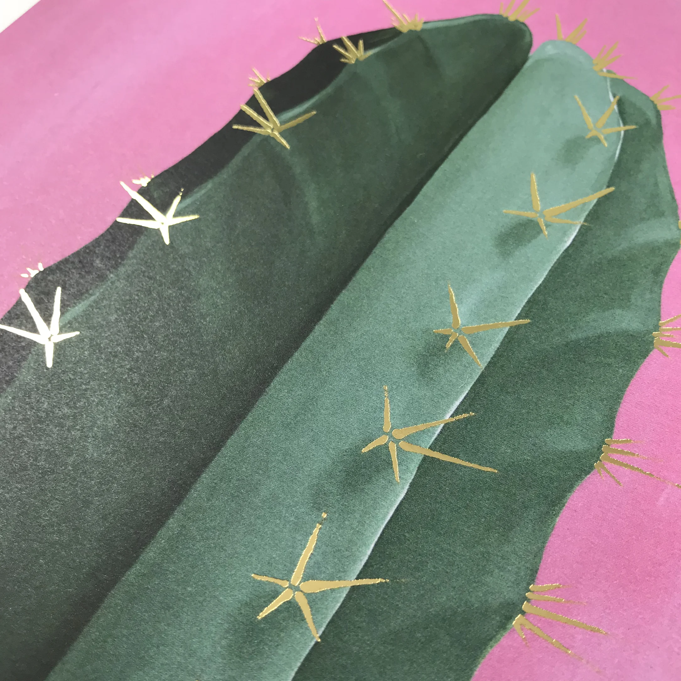Cactus-On-Pink-with-Gold-Foil-Preview-3.jpg