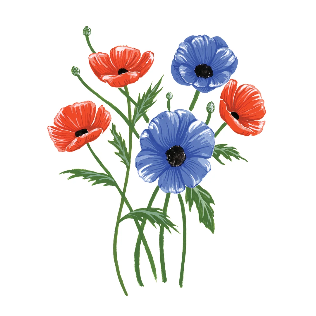 Poppies and Anemone Print Preview