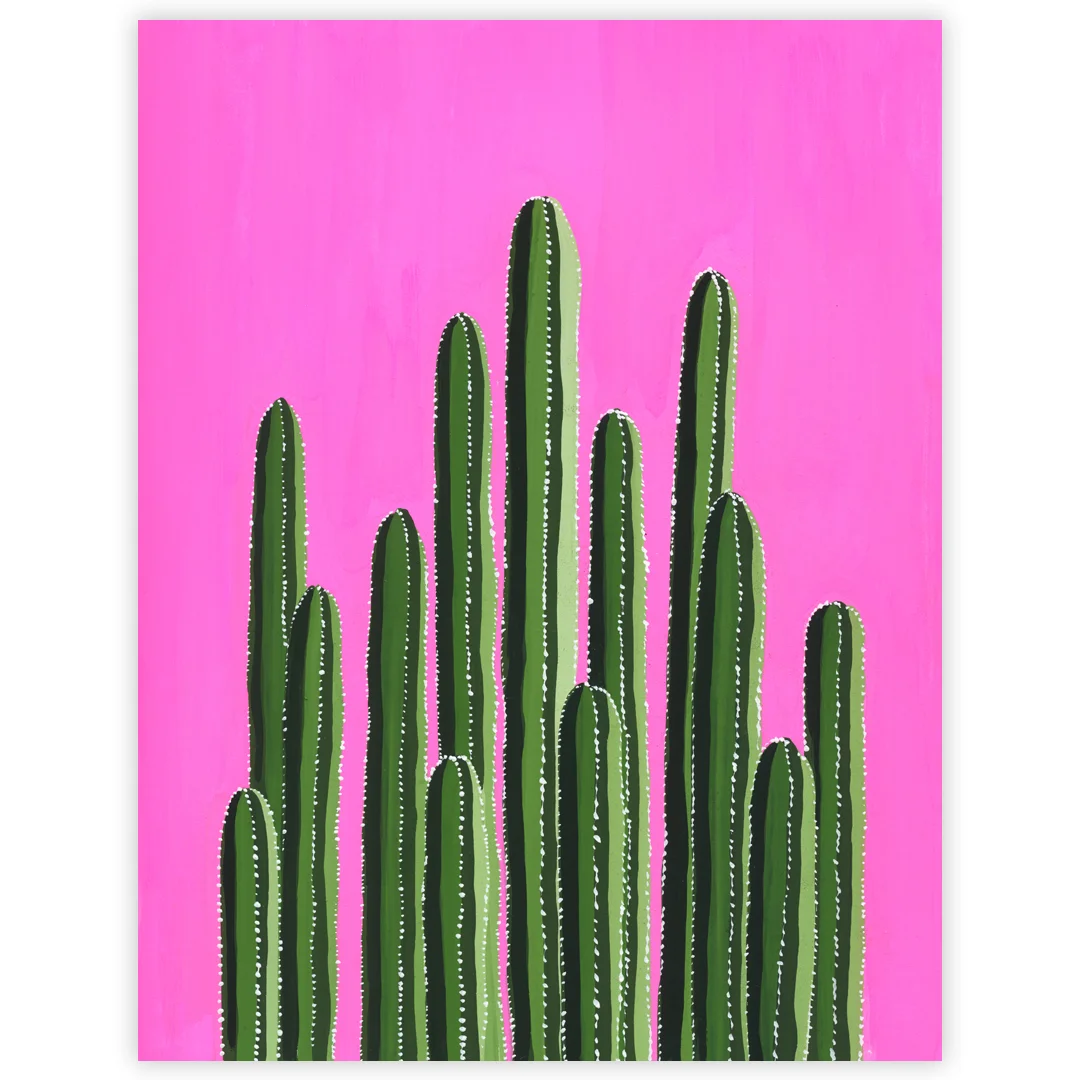18-12-27-Cactus-on-Pink-Background-web-02.jpeg