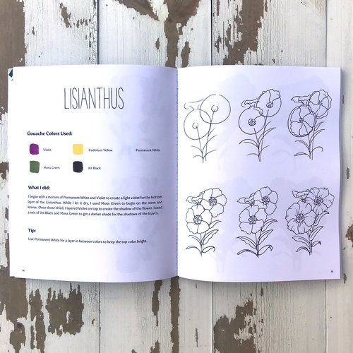 How To Draw & Paint Botanicals Flowers A Step-by-Step Guide To Illustration & Gouache Painting