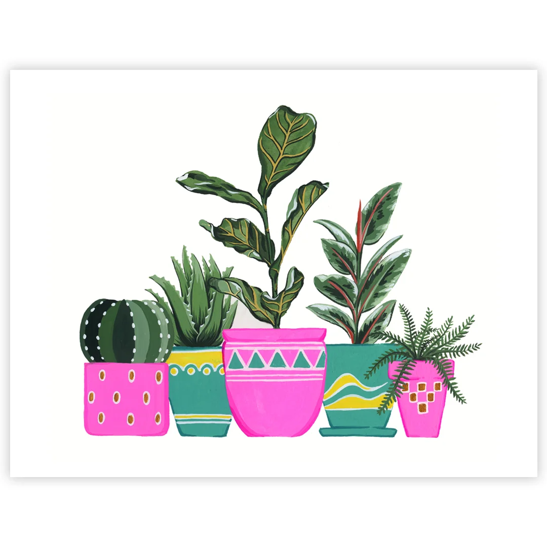 19-02-15-Friendly-Potted-Plants-web-02.jpeg