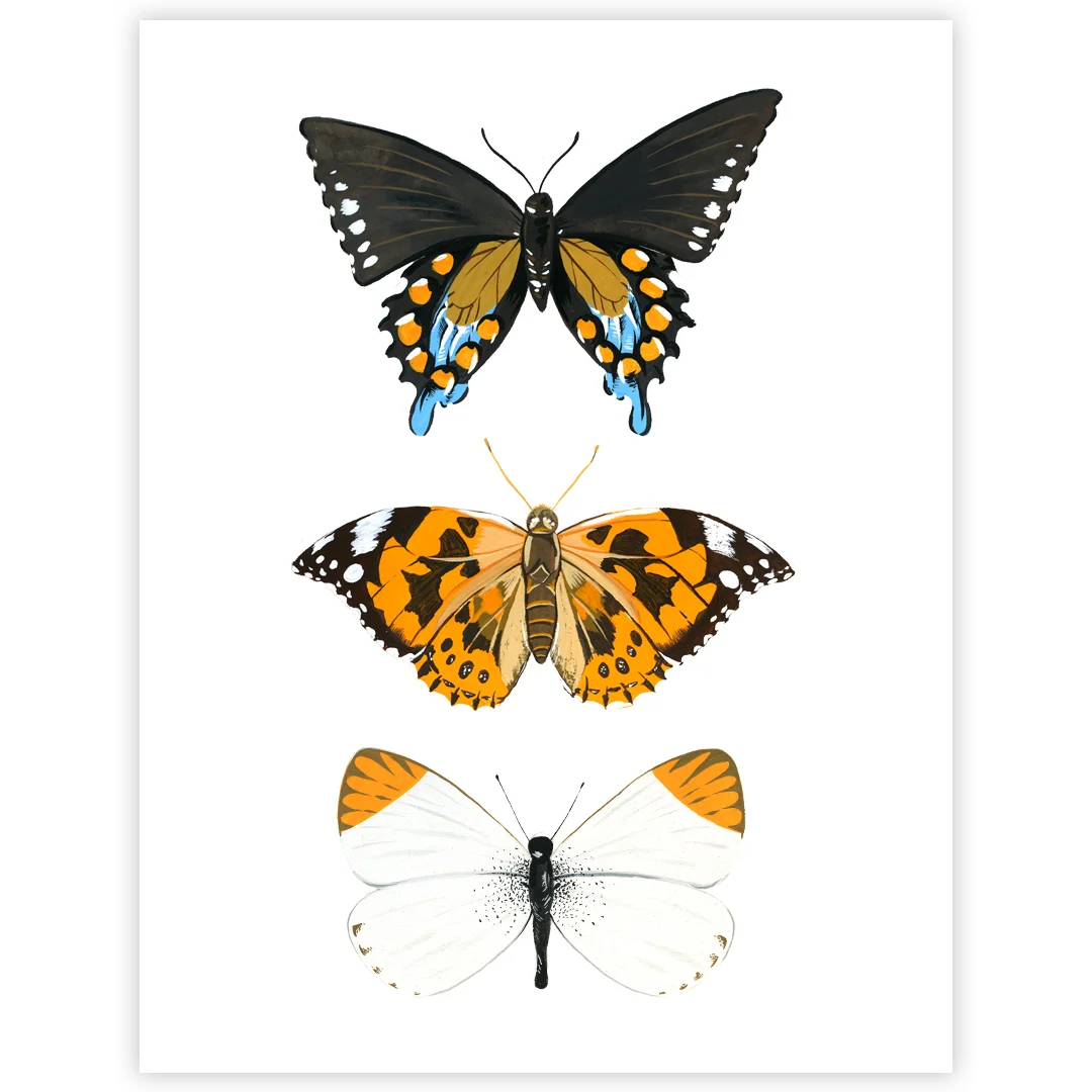 Butterfly Trio 2