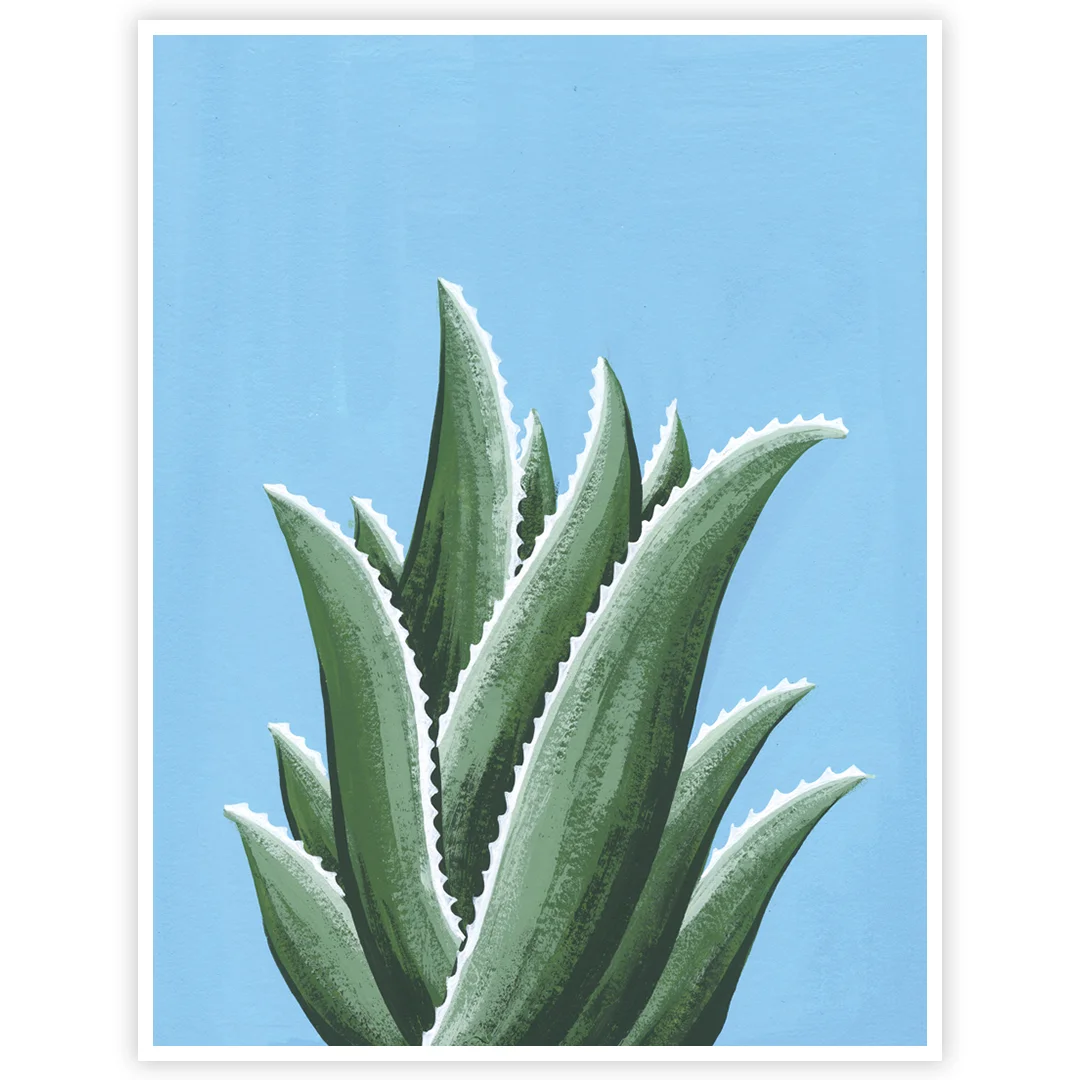 19-07-02-Aloe-Collection-04-web-02.jpeg
